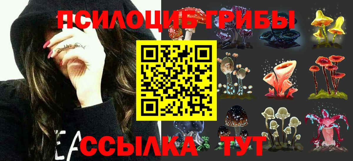 Галлюциногенные грибы Psilocybine cubensis  Вход с VPN  Назарово 